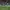 Essai - Baptiste Germain - Saison 23/24 - ST vs. ASM