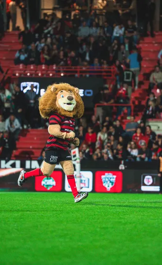 Ovalion sur le terrain